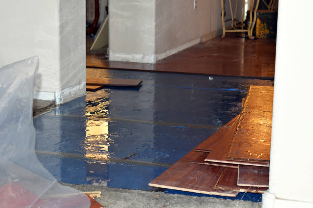 Professional Sewage Cleanup technician working in Washington, NH